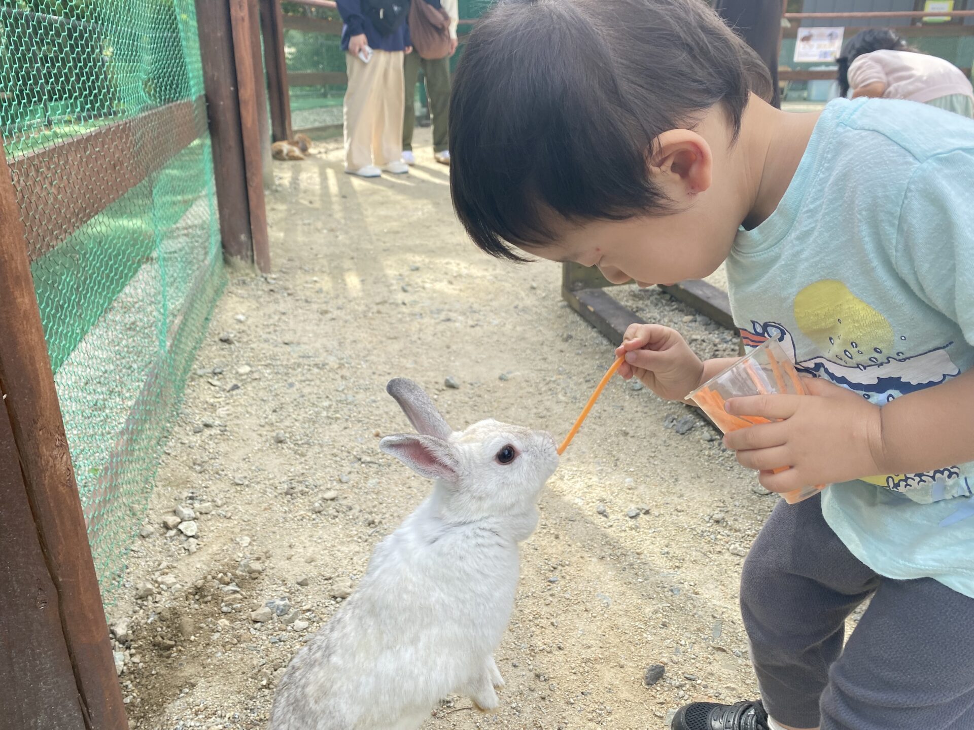 わたしの日常（サファリパーク）