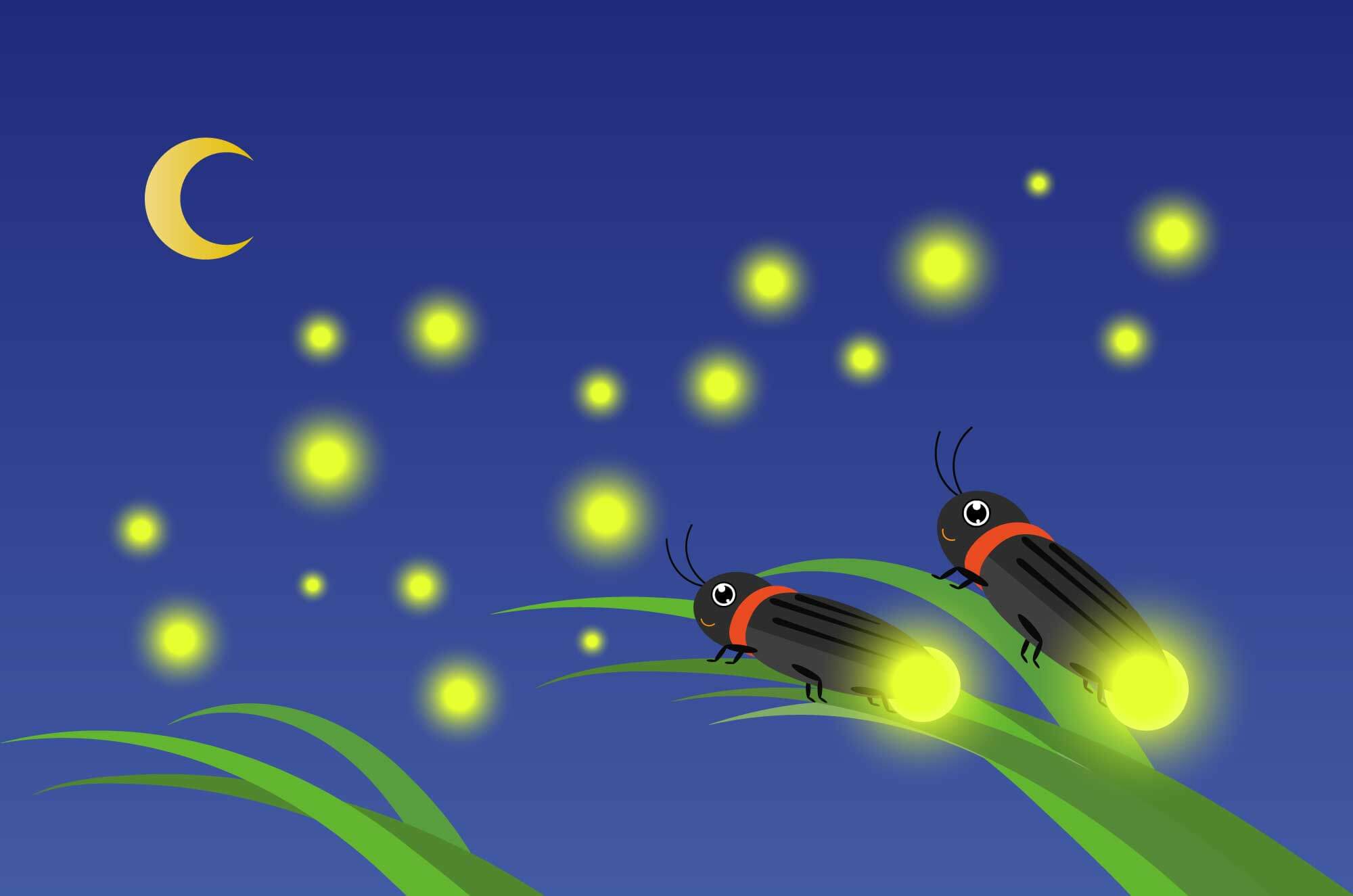 わたしの日常（蛍鑑賞）